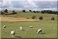 Fields south of Dechmont Hill