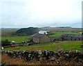 Hotbank Farm with Crag Lough beyond