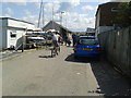 Cyclist and walkers on the Camel Trail