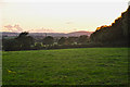 East Devon : Grassy Field