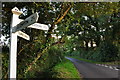 East Devon : Country Lane & Signpost