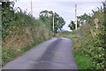 Mid Devon : Country Lane