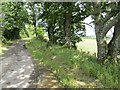 Minor road near Dalcur