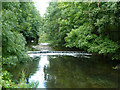 Weir on River Crane