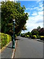 Looking north east on Kings Road