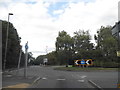 The Otter Roundabout from Chobham Road