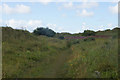 The Velvet Trail in the Birkdale dunes