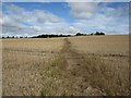 NU0435 : Path across arable land to Holburn by Graham Robson