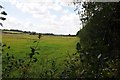 Farmland at Rushton