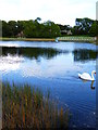 Gillingshill Reservoir