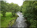 The River Teifi at Maesycrugiau