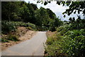 Path leading to Phoenix Parkway