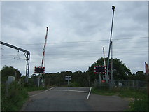 TL1988 : Level crossing near Holme Fen Nature Reserve by JThomas