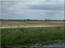 TL2787 : Farmland beside the River Nene (old course) by JThomas
