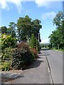 A summer afternoon in Turretbank Road