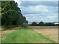 Muck spreading near Lavant