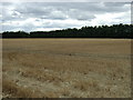 TL2679 : Stubble field east of Little Raveley by JThomas