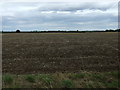 TL2678 : Field near Rectory Farm by JThomas