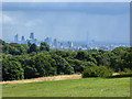 TQ2787 : Stormy Weather over London from Kenwood, London NW3 by Christine Matthews