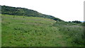 On the coast path above Penbryn, Ceredigion