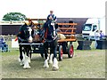 SP0902 : Horses, Fairford Steam Rally, Quarry Farm, Poulton, Gloucestershire by Brian Robert Marshall