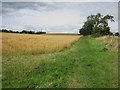 Footpath between Shilbottle Grange and Longdyke