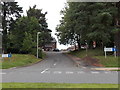 Tree-lined Chapman Close, Malpas, Newport