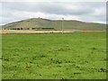 NO4039 : Pasture at Huntingfaulds by M J Richardson