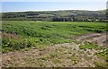 Field near Trevigro