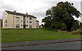 Flats and trees, Edison Ridge, Malpas, Newport