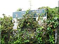 Overgrown allotments