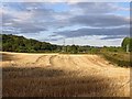 Stubble, Inveravon