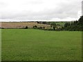 Former farmland near Ayr