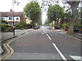 Park Avenue North, Hornsey