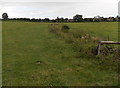 Public footpath through a field, Filands, Malmesbury