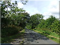 Country road near Pardshaw