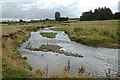 Meanders of the Bollin