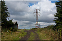 SE8593 : Power line running north/south by Pauline E