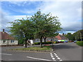 Small triangle at the junction of Alligan Crescent and Alligan Road