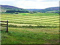 Newly mown field at Woodgill House Farm