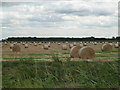 TF3805 : Rolls of straw awaiting collection, Plash Drove by Richard Humphrey