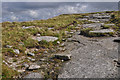SX5789 : West Devon : Dartmoor Scenery & Rocks by Lewis Clarke