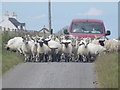 Kilmoluaig: heavy traffic