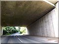 Under the A14 Felixstowe Road