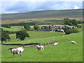 Field with sheep and Haresceugh Farm