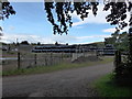 Footpath from Crieff Bridge to Duchlage (4)