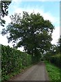 Footpath from Crieff Bridge to Duchlage (14)