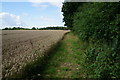 Path towards Seaton Old Hall