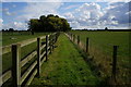 Footpath near Park Farm, Seaton Ross