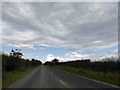 Selby Road A19 near Norton Common Farm